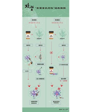 屠呦呦團隊放“大招”：“青蒿素抗藥性”等研究獲新突破