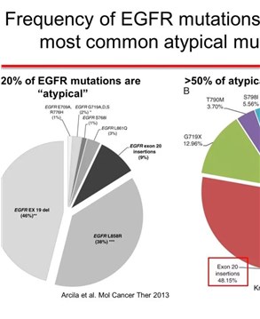 EGFR Exon 20突變和HER2突變型NSCLC治療的新選擇